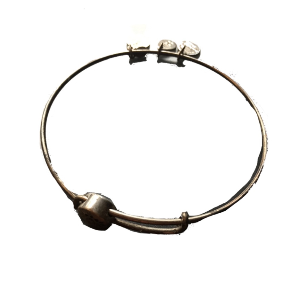 Alex and Ani Positivity Bangle Bracelet